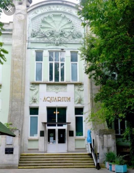 Home Relax Warna Zewnętrze zdjęcie